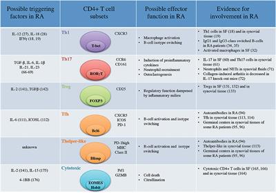 Effector Functions of CD4+ T Cells at the Site of Local Autoimmune Inflammation—Lessons From Rheumatoid Arthritis